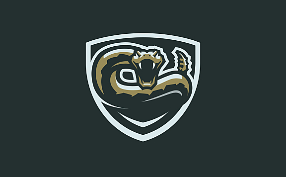 盾牌里的响尾蛇logo