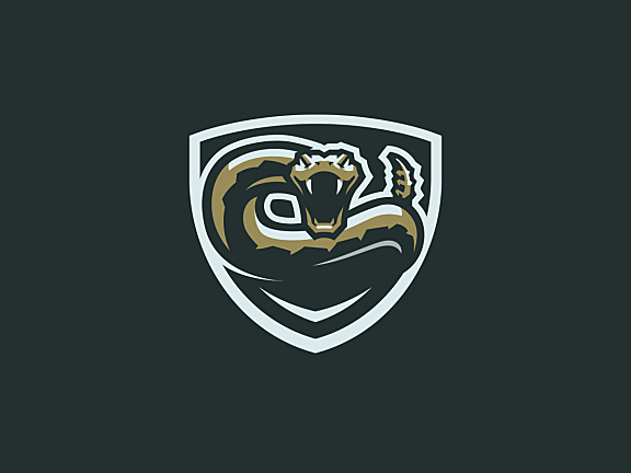 盾牌里的响尾蛇logo