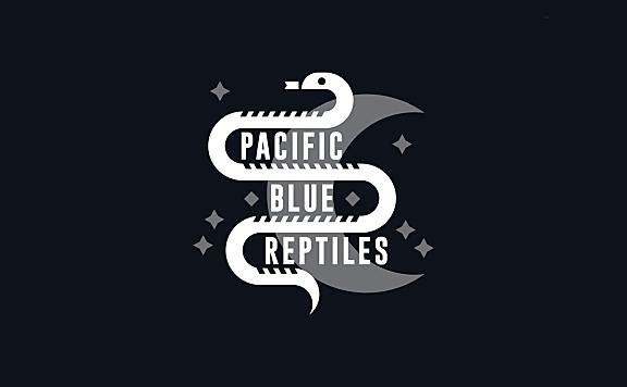蛇和月亮logo