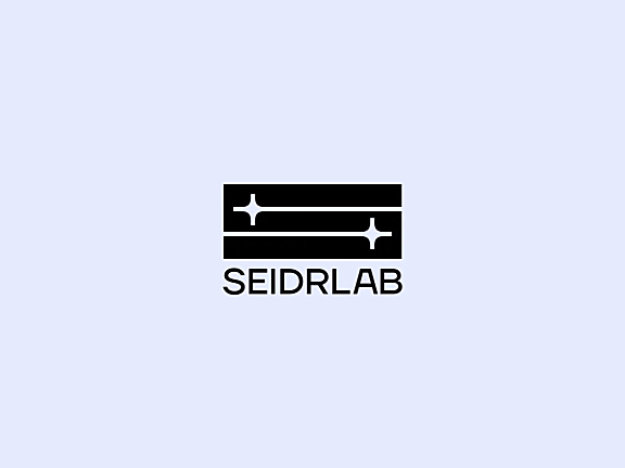 数据科学和技术公司 SeidrLab 新标志